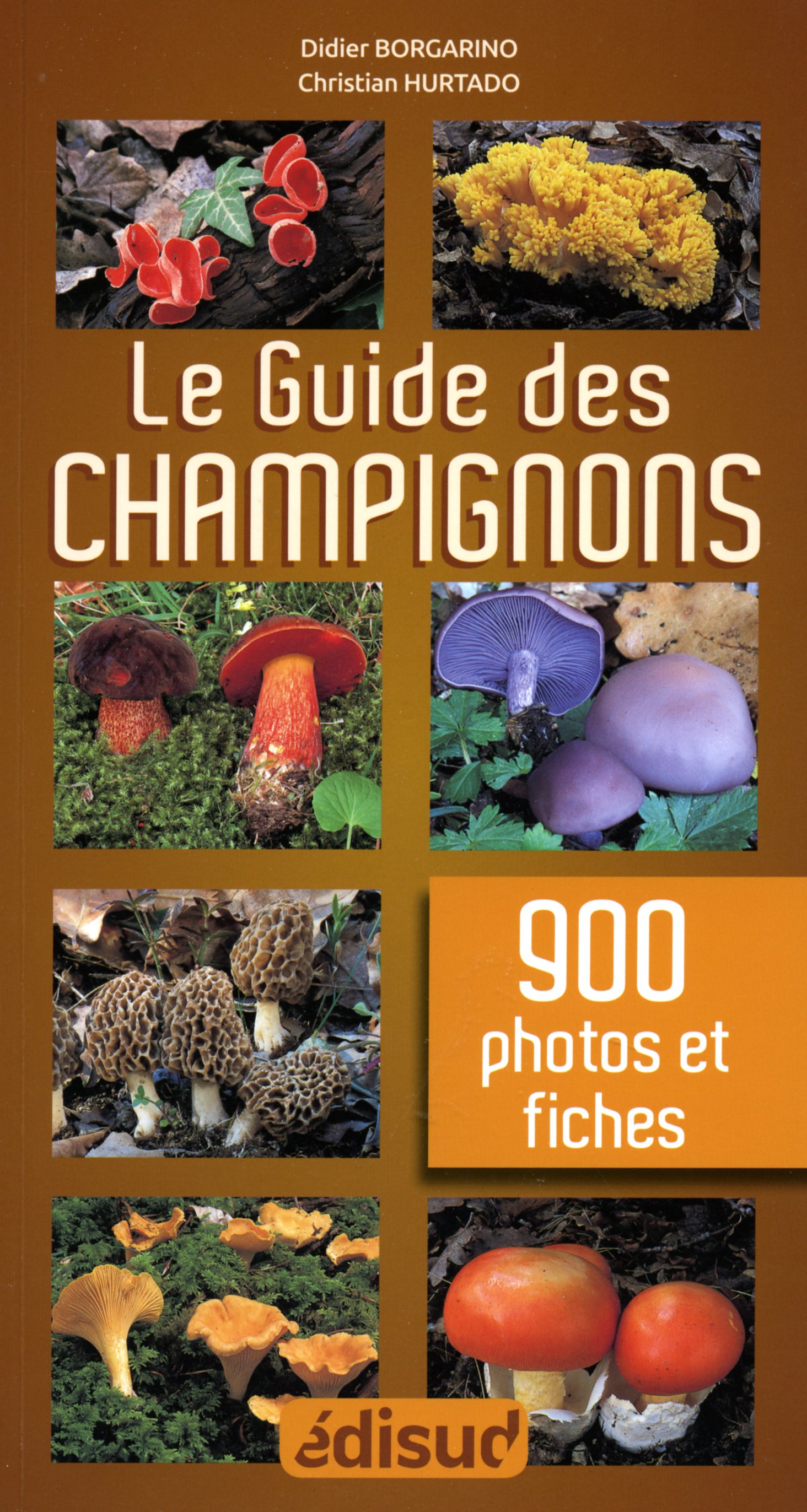 Guide des Champignons en 900 photos