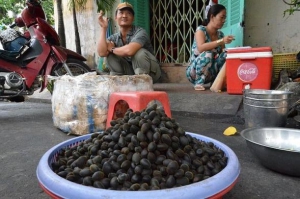 Mieux connaître les oliviers avec "L'olivier dans le bon sens", Editions Edisud